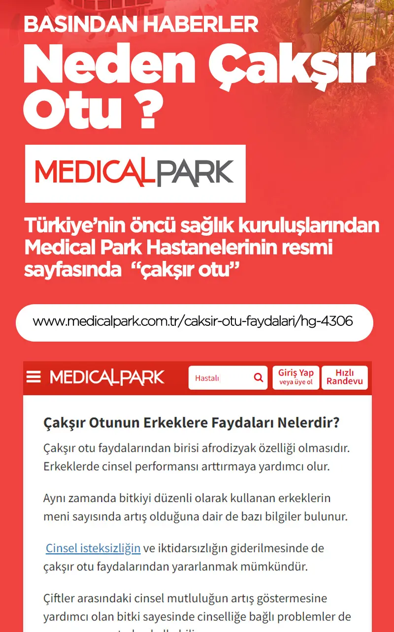 Hatay Yöresi Çakşır Otu Macunu