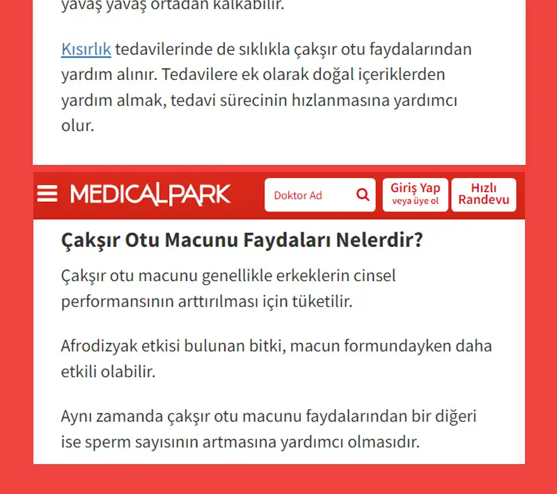 Hatay Yöresi Çakşır Otu Macunu